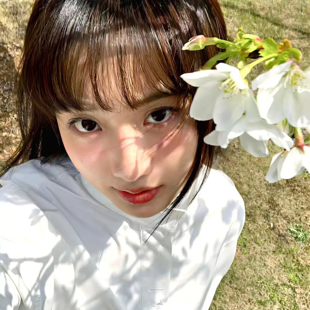爱莉思的情书